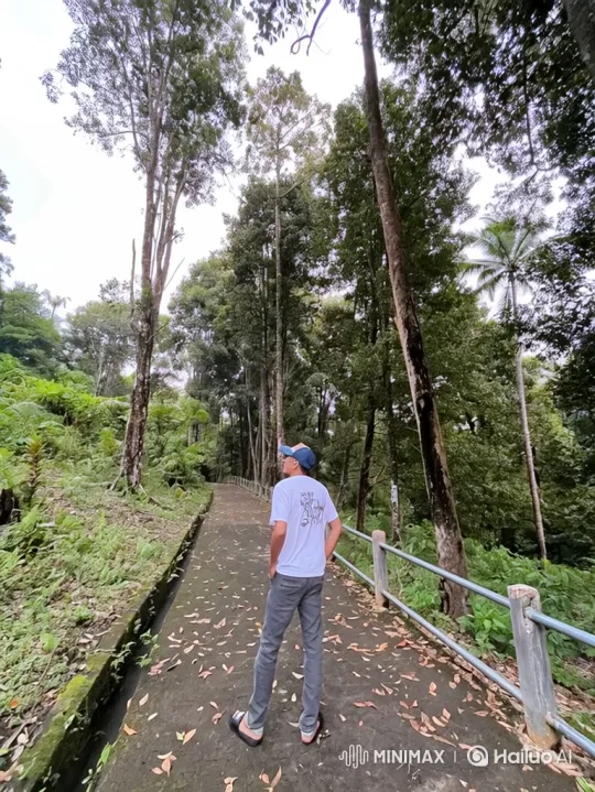 Man in Forest Contemplates Nature's Grandeur – AI Generated Video | Hailuo AI