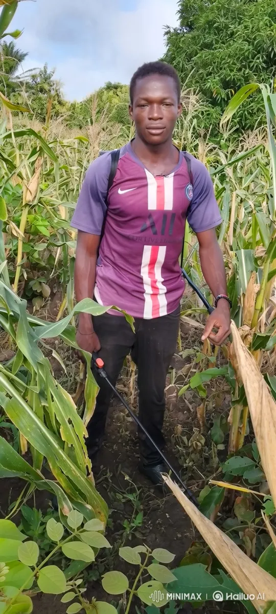 Young Man Abducted by Alien Spaceship in Cornfield – AI Generated Video | Hailuo AI