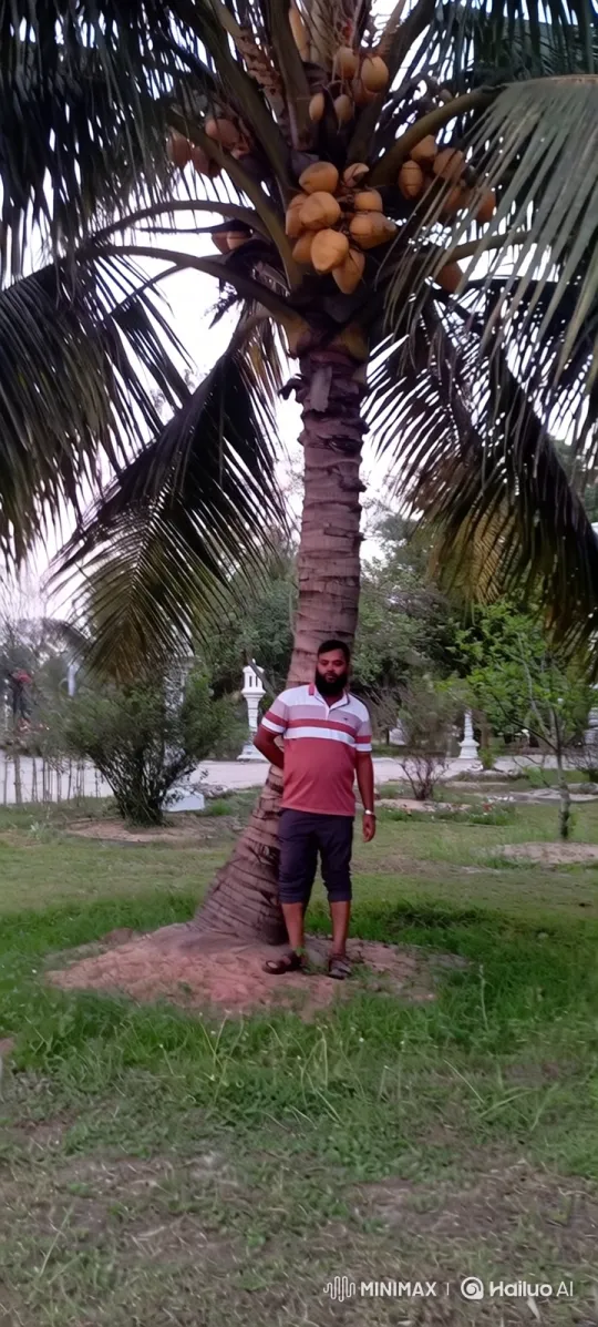 Man with Beard Amidst Swaying Palms in Park – AI Generated Video | Hailuo AI