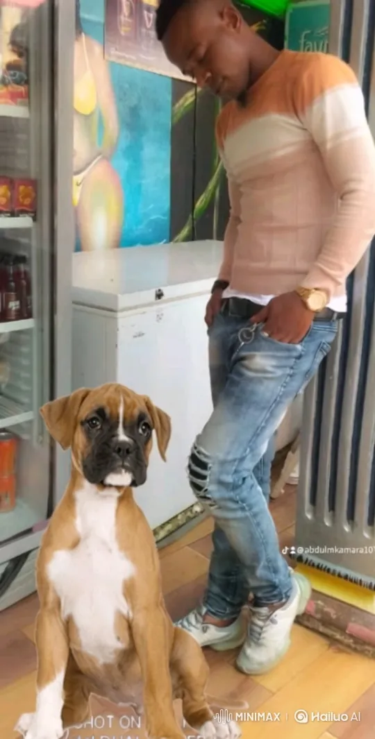 Young Man and Puppy in a Small Store – AI Generated Video | Hailuo AI