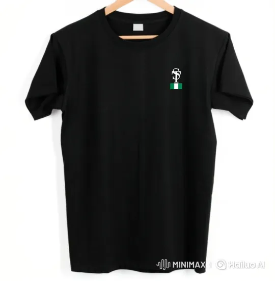Stylish T-Shirt with Logo Sways and Zooms In – AI Generated Video | Hailuo AI