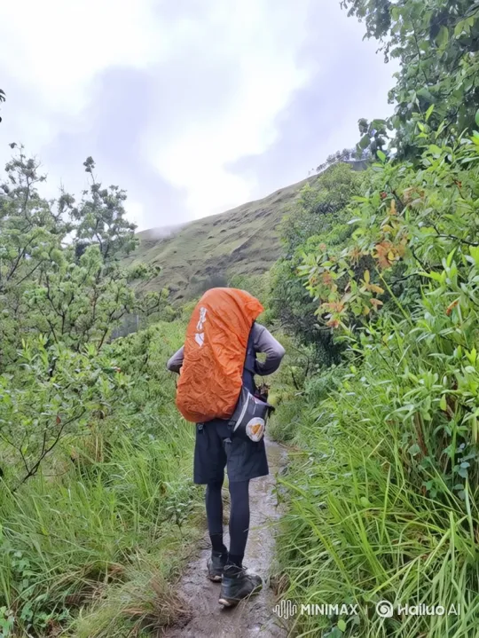 Ascend with Hiker to Earth's View from Space – AI Generated Video | Hailuo AI