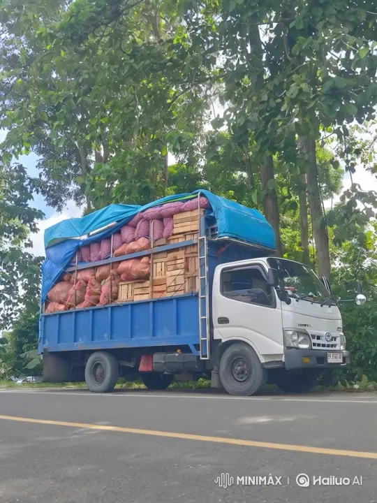Truck Parked by Road Amidst Forest, Wide-Angle View – AI Generated Video | Hailuo AI