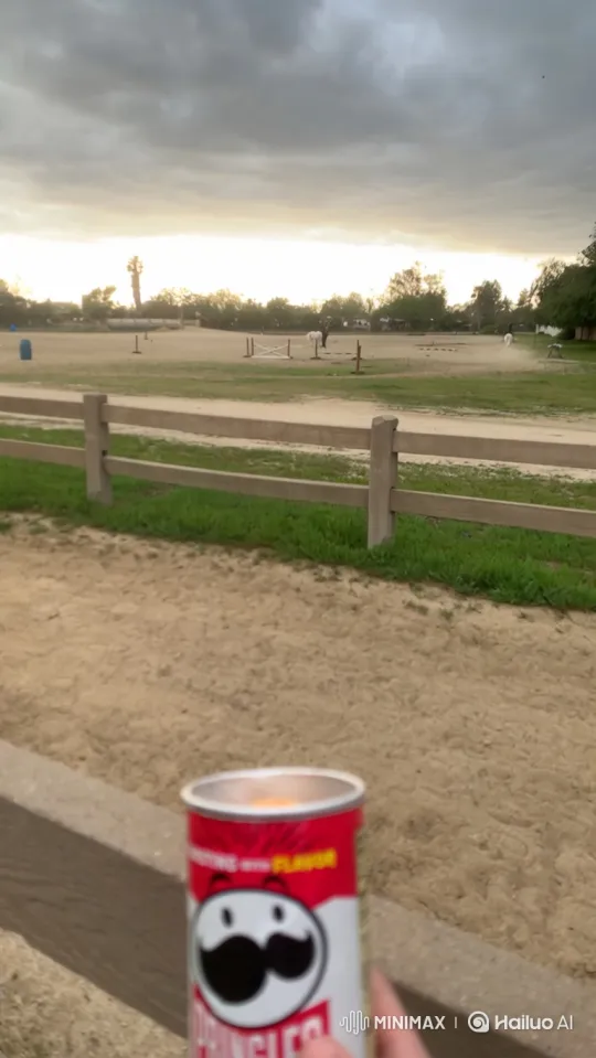 Horse Riding Arena: Tranquil Scene with Cloudy Sky – AI Generated Video | Hailuo AI