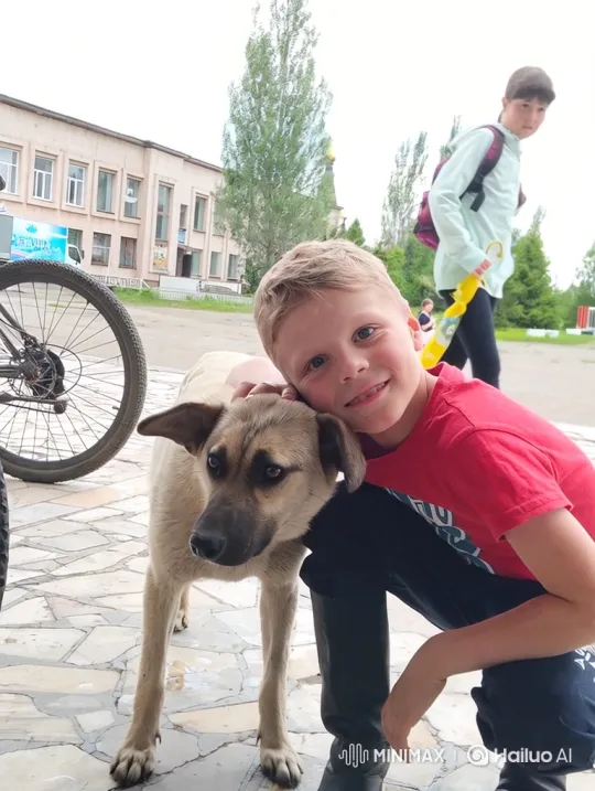 Boy and Dog Playfully Chase Each Other – AI Generated Video | Hailuo AI