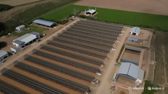 Modern Poultry Farm with 10 Hen Houses and Support Buildings – AI Generated Video | Hailuo AI