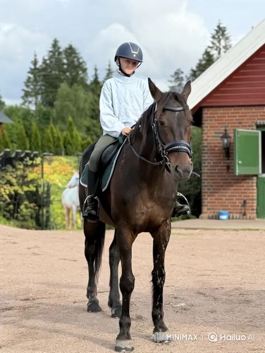 Young Rider and Horse Successfully Clear High Jump – AI Generated Video | Hailuo AI