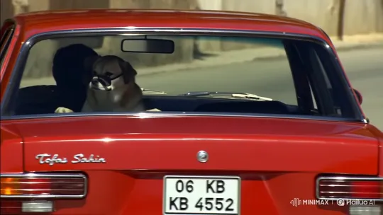 Dog in Sunglasses Drives Red Tofaş Şahin – AI Generated Video | Hailuo AI