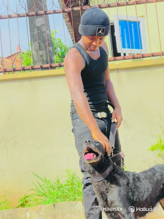 Young Man and Dog Fly Together in Extraordinary Event – AI Generated Video | Hailuo AI