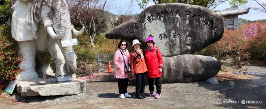 Three Older Women Enjoying a Joyful Dance Outdoors – AI Generated Video | Hailuo AI