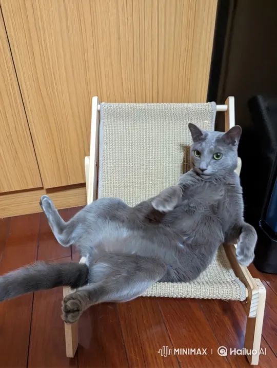 Grey Cat Enjoys Unusual Bath in Giant Milk Tea Cup – AI Generated Video | Hailuo AI