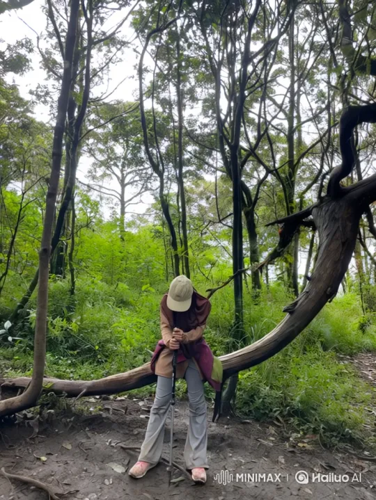 From Hiker to Planet: A Journey Through Earth's Layers – AI Generated Video | Hailuo AI
