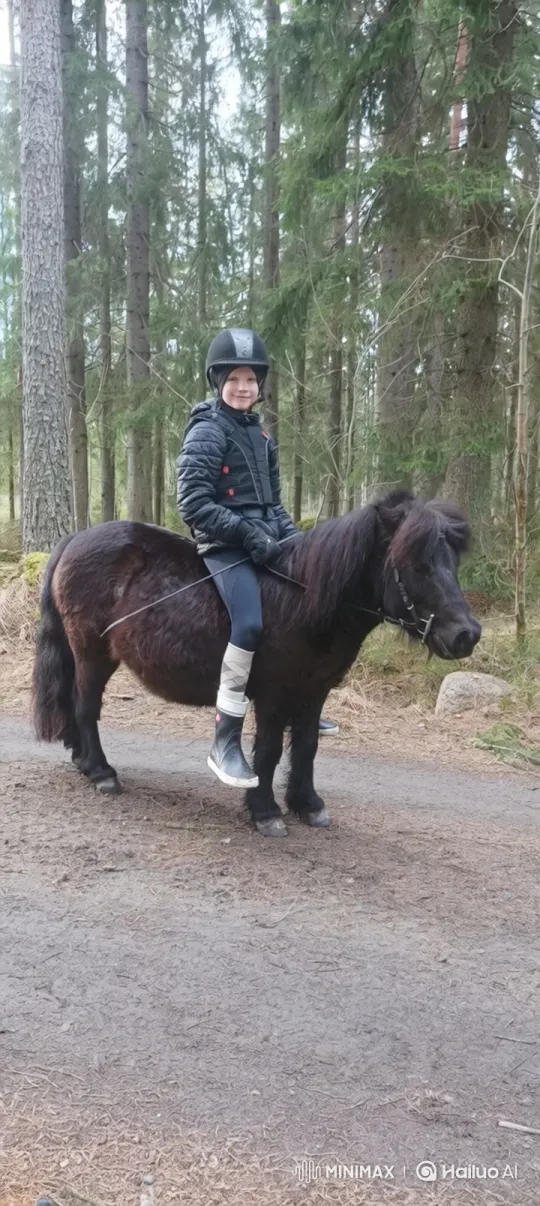 Child and Pony Jump Over Logs in Forest Path – AI Generated Video | Hailuo AI