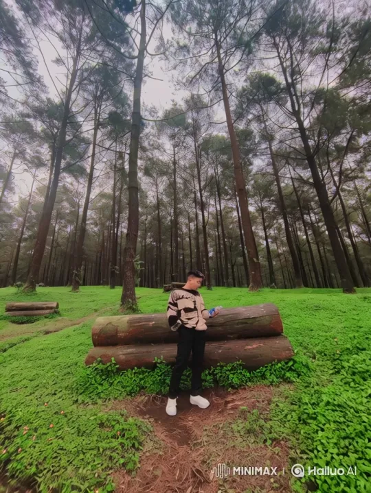 From Pine Forest to Cosmic Perspective: A Journey – AI Generated Video | Hailuo AI