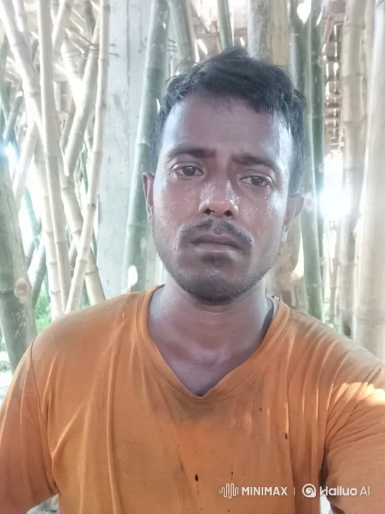 Man in V-neck T-shirt Tends to Bamboo Poles – AI Generated Video | Hailuo AI