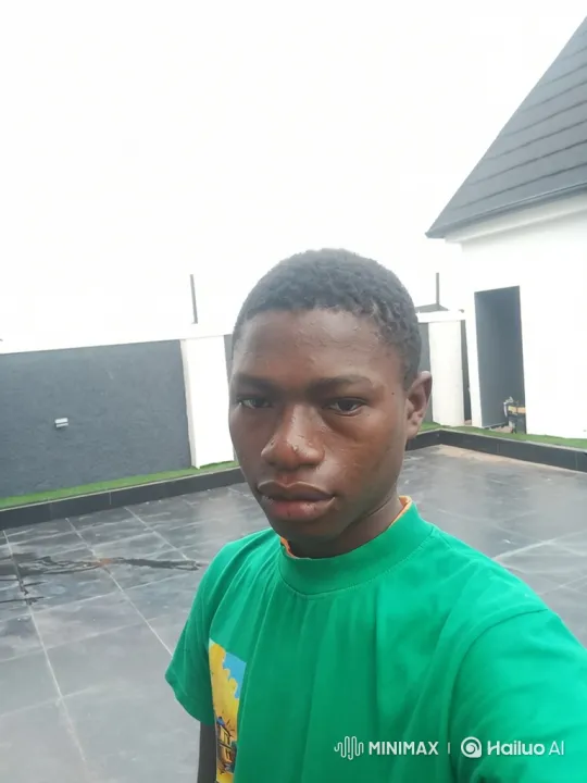 Young Man Slaps Nigerian Politician, Meets US President, Boards Private Jet – AI Generated Video | Hailuo AI