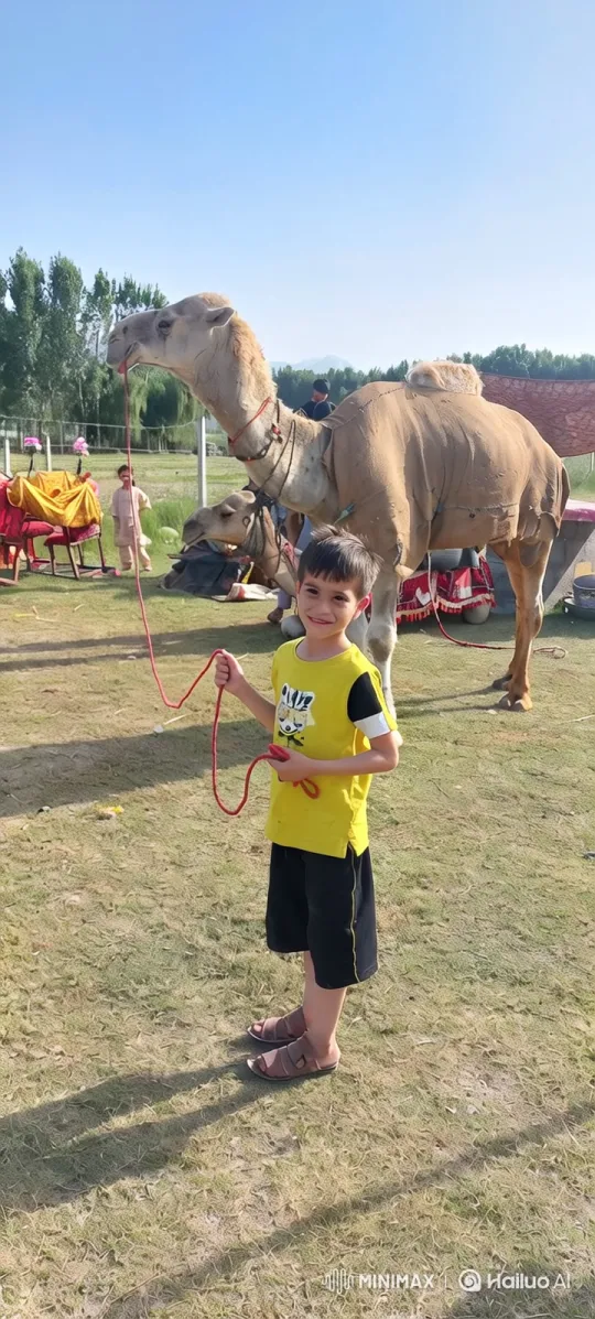 Boy Joyfully Rides Horse Across Field – AI Generated Video | Hailuo AI