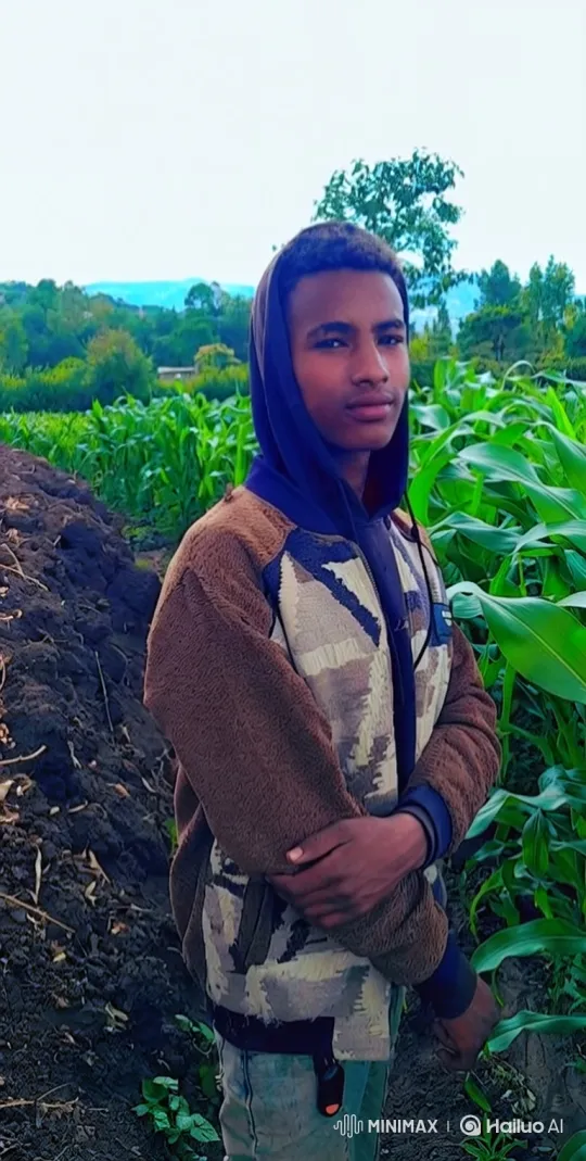 Young Couple's Tender Moment in a Cornfield – AI Generated Video | Hailuo AI