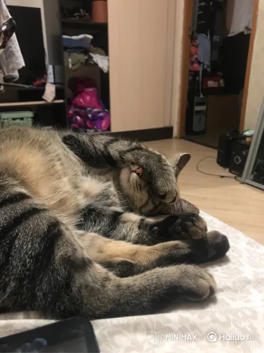 Tabby Cat Sleeps, Climbs, and Rides Moving Train Roof – AI Generated Video | Hailuo AI