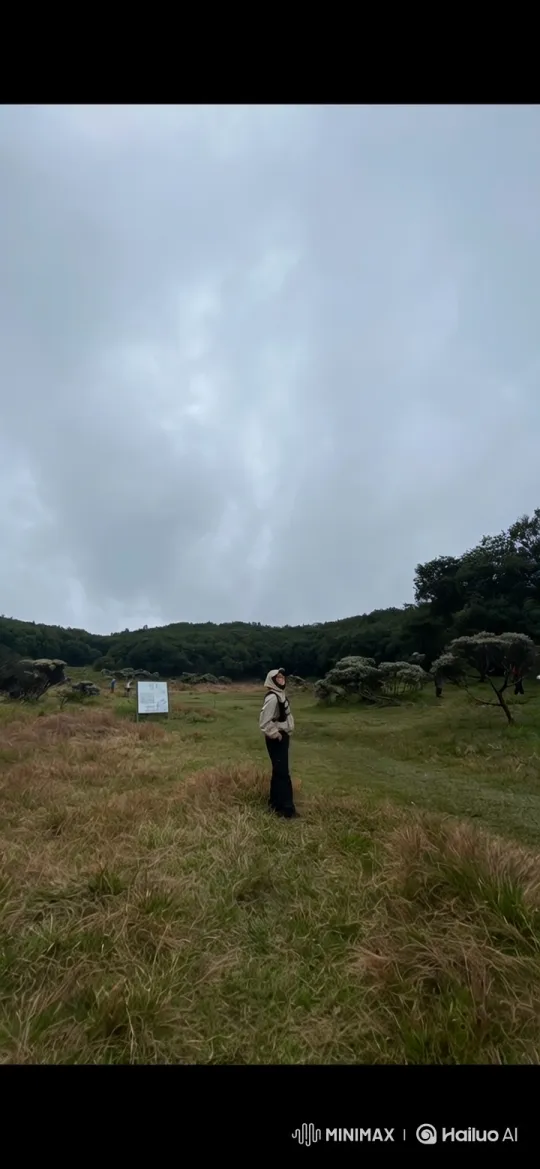 Mountain Clearing to Cosmic Perspective: A Journey – AI Generated Video | Hailuo AI
