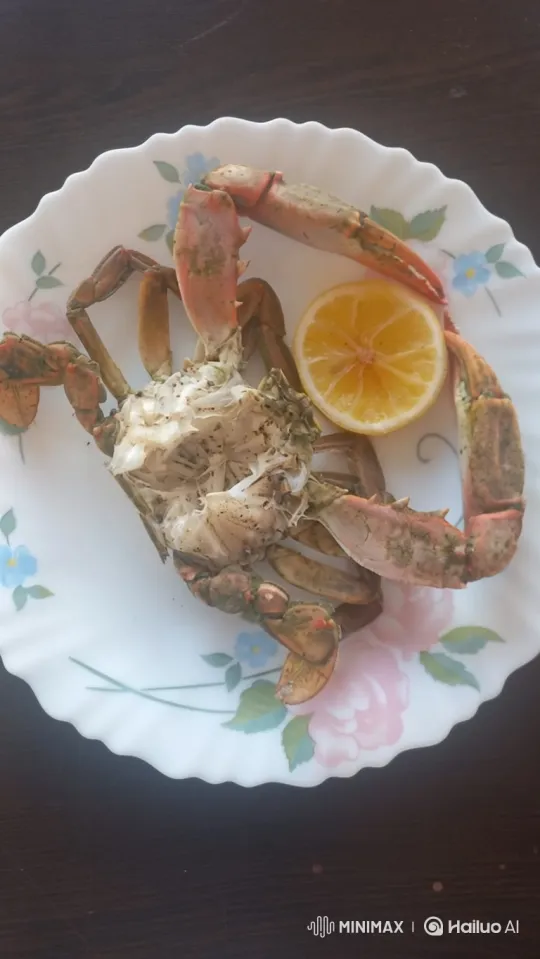 Giant Crab Comes to Life, Engages in Battle with Camel – AI Generated Video | Hailuo AI