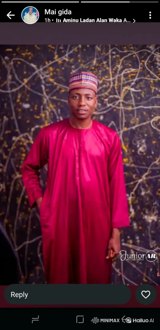 Young Man in Vibrant Robe Amidst Artistic Background – AI Generated Video | Hailuo AI