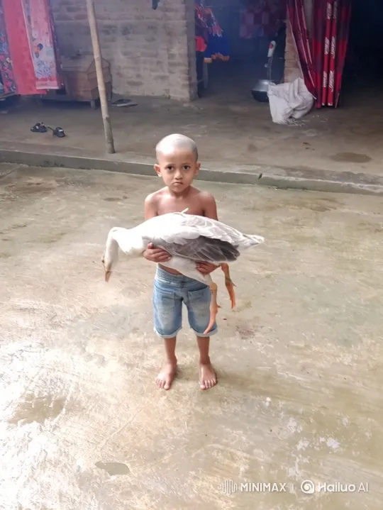 Young Boy Yasin Stands with Goose in Silent Embrace – AI Generated Video | Hailuo AI