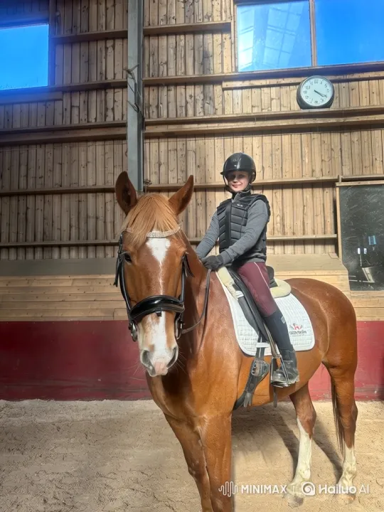 Young Rider and Horse Perform at Show Jumping Event – AI Generated Video | Hailuo AI