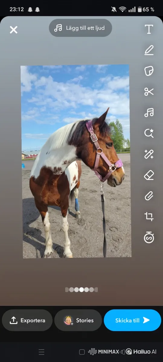 Paint Horse Navigates Cross-Country Jump Gracefully – AI Generated Video | Hailuo AI