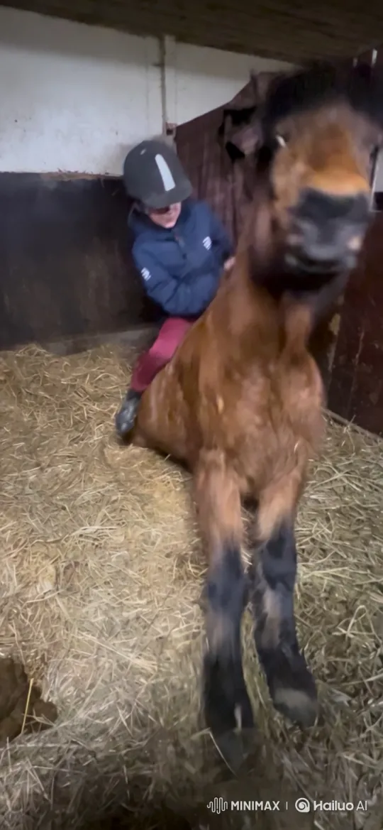 Young Rider Falls as Horse Backflips in Stable – AI Generated Video | Hailuo AI
