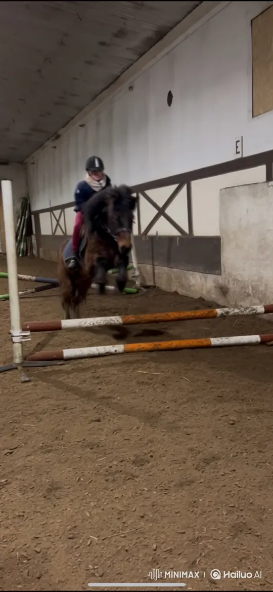 Rider Unseated During Pony's Buck and Jump – AI Generated Video | Hailuo AI