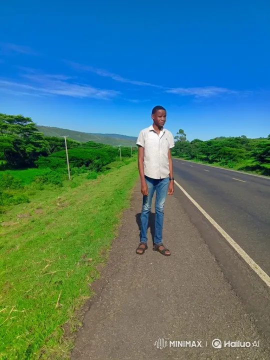 Young Man Enters Car on Rural Road – AI Generated Video | Hailuo AI