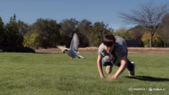 Young Person Chases Cockatiel in Quadrobics Chase Scene – AI Generated Video | Hailuo AI