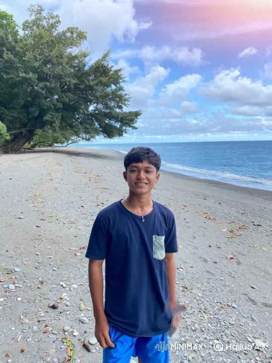 Peaceful Beach Day with Gentle Breeze and Calm Waves – AI Generated Video | Hailuo AI