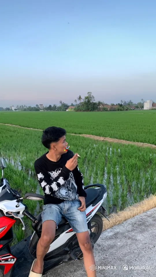 Rice Paddy to Earth's Orbit: A Journey Through Landscapes – AI Generated Video | Hailuo AI