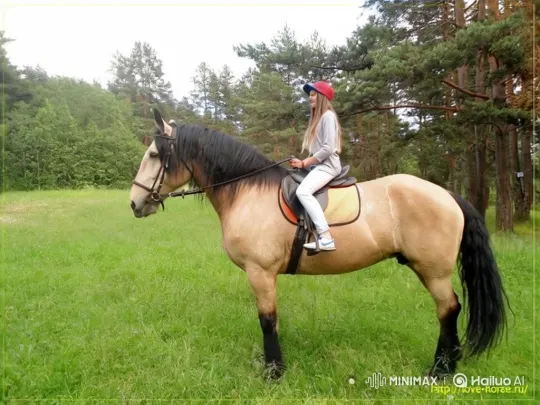 Young Rider and Horse Perform Graceful Show Jump – AI Generated Video | Hailuo AI