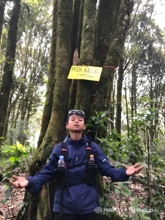 Ascend with Man: From Forest to Cosmic View of Earth – AI Generated Video | Hailuo AI