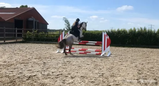 Graceful Horse and Rider Clear Sand Arena Jumps – AI Generated Video | Hailuo AI