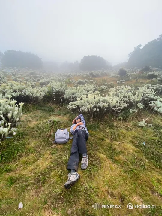 From Mountain Peak to Earth's Overview: A Cinematic Journey – AI Generated Video | Hailuo AI