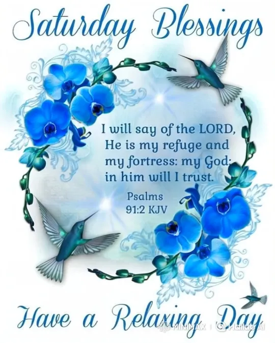 Saturday Blessings: Hummingbirds and Orchids Digital Greeting – AI Generated Video | Hailuo AI
