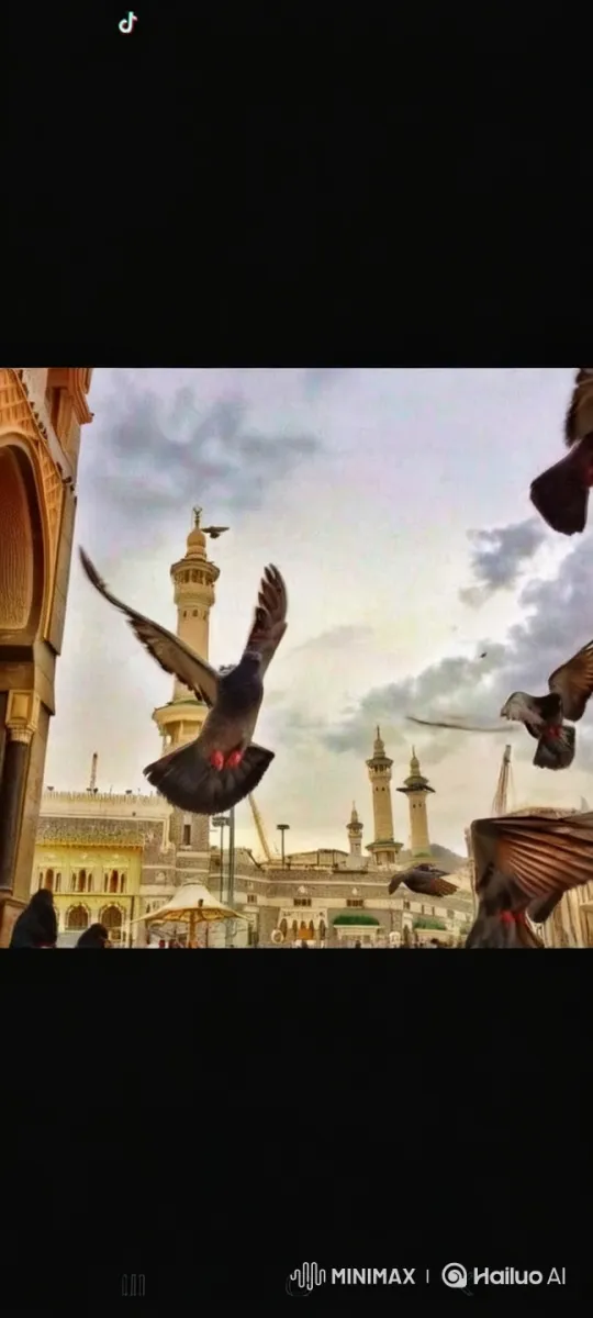 Pigeons Gracefully Fly Past Majestic Architecture – AI Generated Video | Hailuo AI