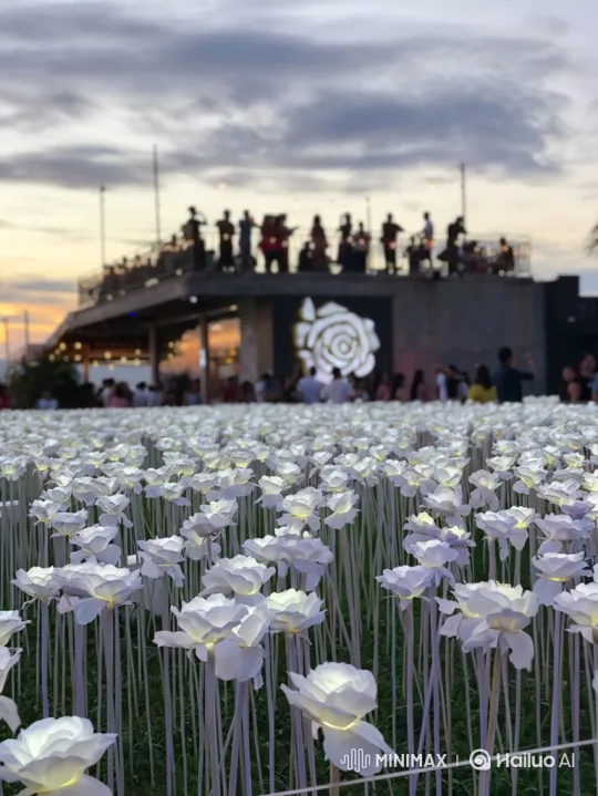Enchanted Field: Playful Cats Amidst Glowing Roses – AI Generated Video | Hailuo AI