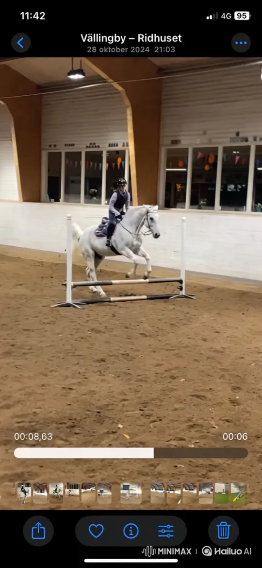 White Horse and Rider Successfully Clear Tall Jump – AI Generated Video | Hailuo AI