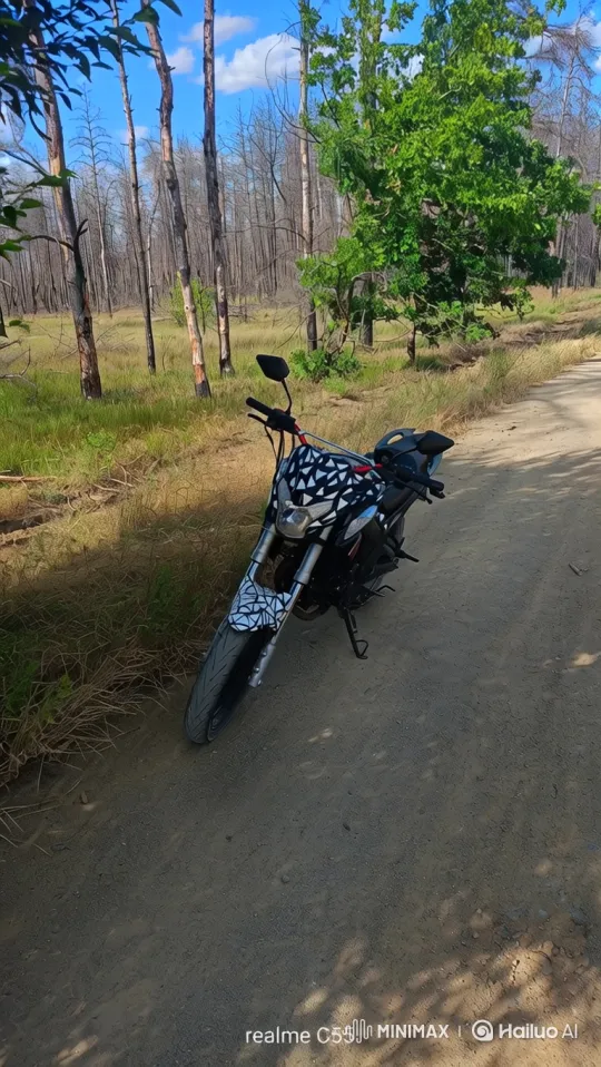 Motorcycle by Burnt Forest to Earth from Space Panorama – AI Generated Video | Hailuo AI