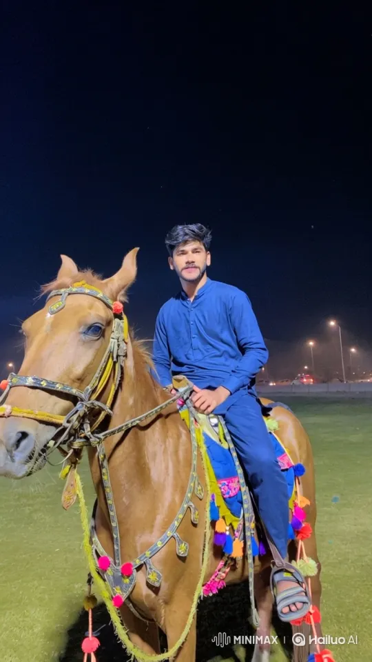 Young Couple Rides Horse Through Night Field – AI Generated Video | Hailuo AI