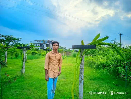Young Couple Shares Quiet Moment in Dragon Fruit Orchard – AI Generated Video | Hailuo AI