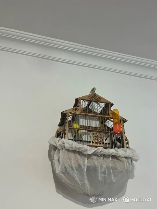 Birds Collaboratively Tear Fabric on Cage – AI Generated Video | Hailuo AI