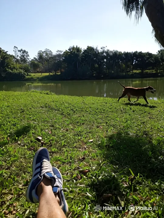 Dog Attacked by Alligator on Riverbank – AI Generated Video | Hailuo AI