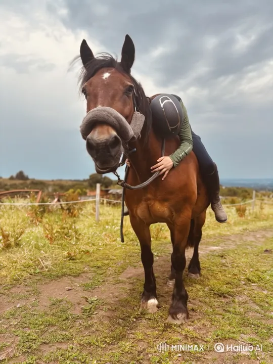 Rider's Struggle and Horse's Sudden Bolt – AI Generated Video | Hailuo AI