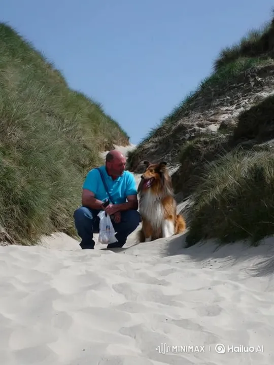 Man and Dog Enjoying a Sunny Day in the Dunes – AI Generated Video | Hailuo AI